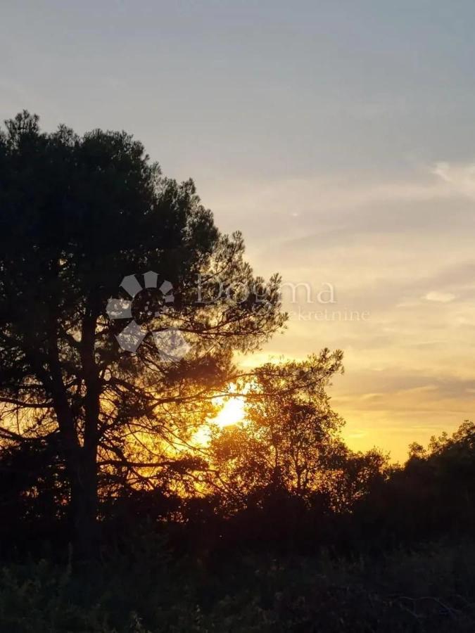 Apartman Nada Daire Ližnjan Dış mekan fotoğraf